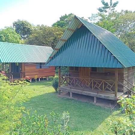 Quirquincho House Lodge Puerto Maldonado Kültér fotó